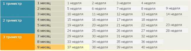 9 месяцев - это сколько дней? Как посчитать количество дней в девяти месяцах беременности