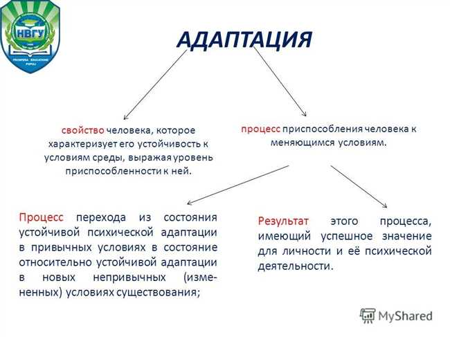 Раздел 1: Адаптация