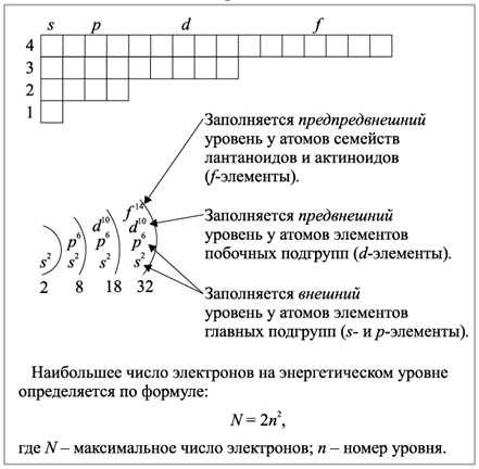 4. Важная роль в живых организмах