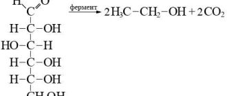 C2H5OH - описание и значение вещества в химии