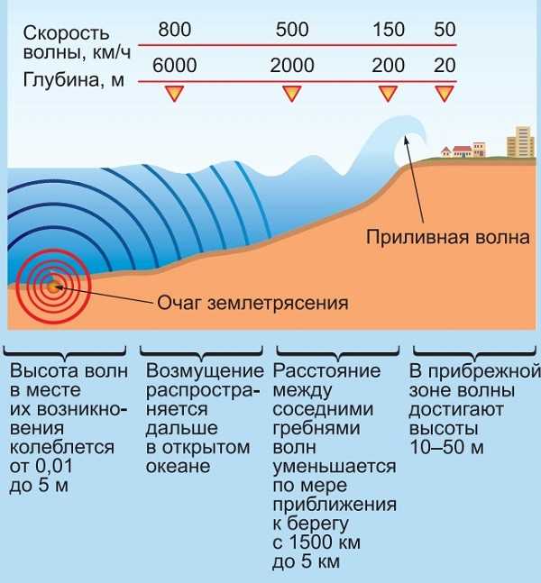 Частота цунами в мире: места, где происходят чаще всего и причины этого явления