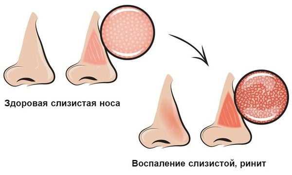 Цель режиссера в ужасах