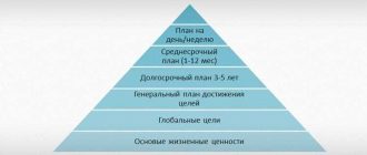 Что из себя представляет или что собой представляет – как правильно