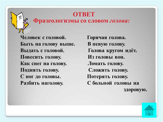 Значение и история выражения "Голова садовая": Подробное знакомство с понятием