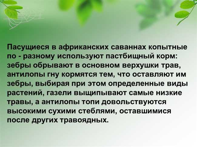 Что такое альманах: основные понятия и особенности