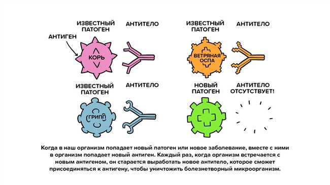 Раздел 1. Происхождение термина 