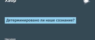 Что такое детерминирование и какие принципы лежат в его основе