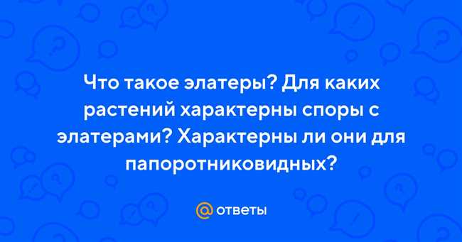 Что такое элатеры и для каких растений они характерны: виды и значение в жизни папоротниковидных