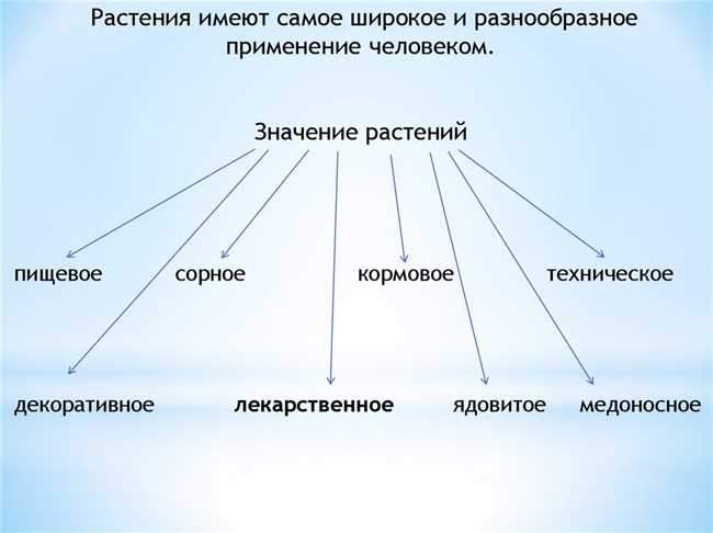 Что такое Эщкере: определение, история, применение