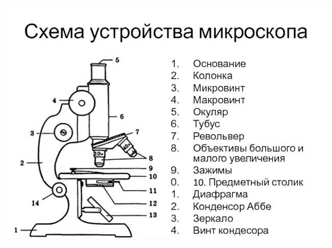 Что такое фф: подробное описание и объяснение