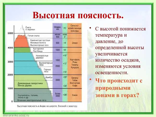 Что такое географическая зональность и её выводы: подробное объяснение и примеры