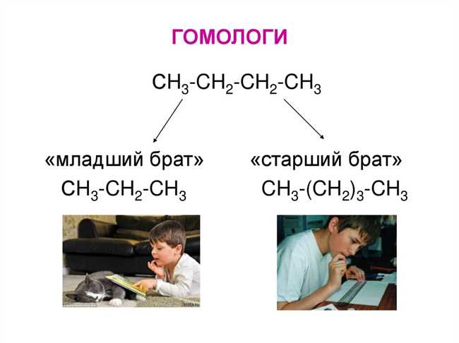 Что такое гомолог: понятие и примеры