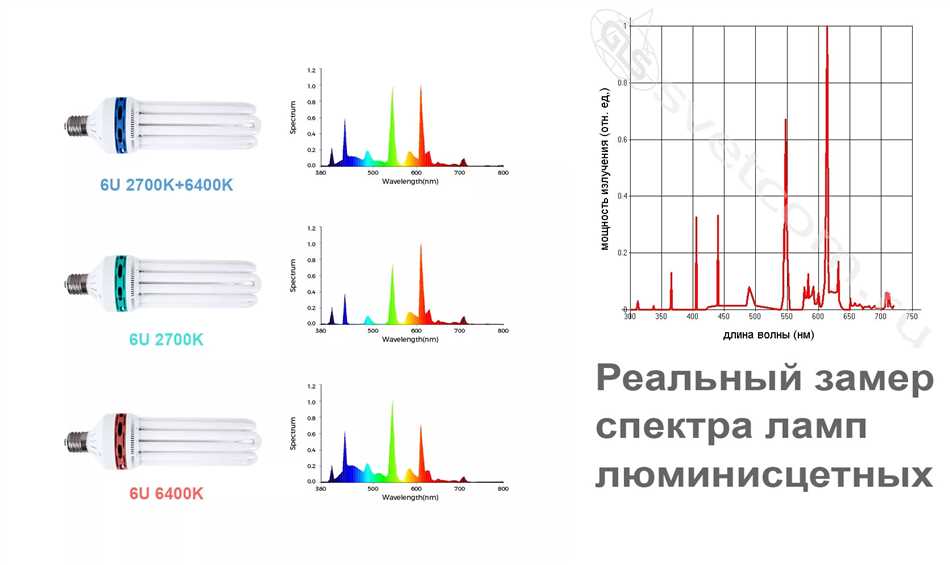 1. Звуковой резонанс в пещерах