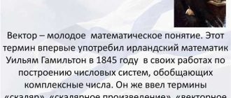 Что такое МУЛЯКА: полное понимание, история, основные характеристики и практическое использование