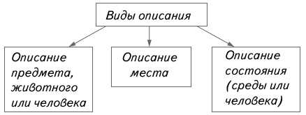 2. Одушевленные и неодушевленные существительные