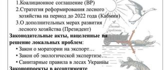 Что такое припоны: основные особенности и назначение