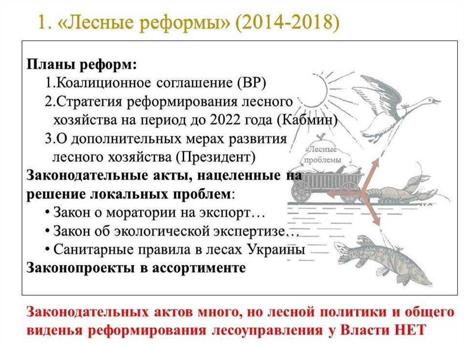 Что такое припоны: основные особенности и назначение