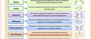 Что такое совма? Понятие, способы применения и примеры использования