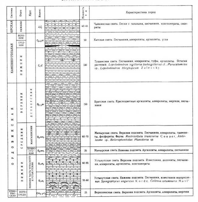 Что такое свита: основные понятия и характеристики