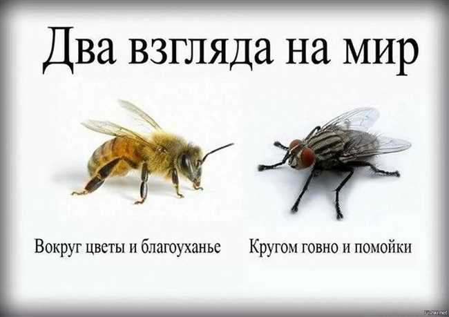 Что значит фраза 