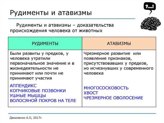 Что значит слово рудиментарный: определение, значение, примеры использования