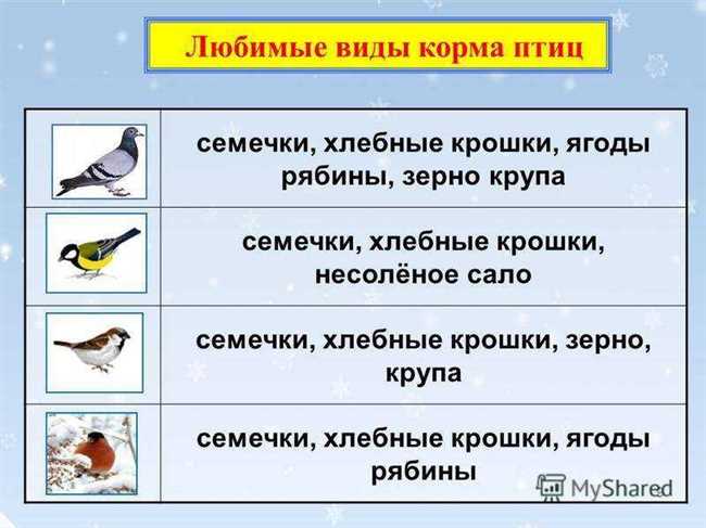 Что значит «жить на птичьих правах»: смысл и примеры