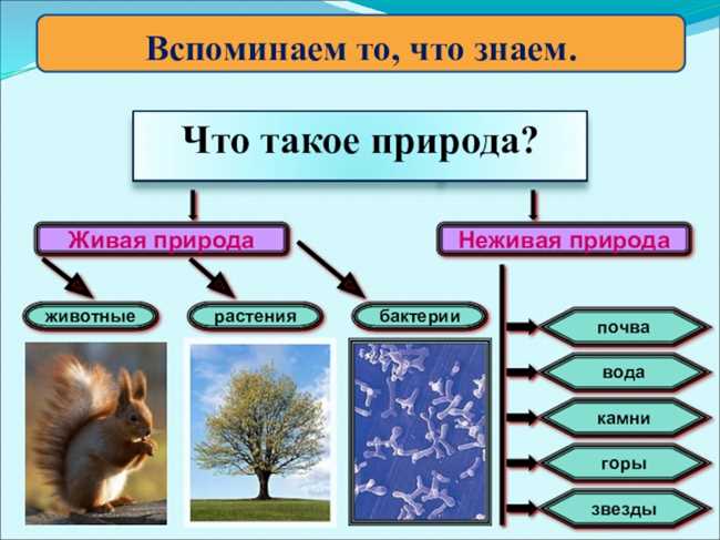 Смотрим на признаки жизни