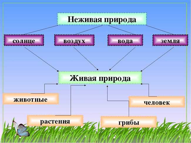 3. Рост и развитие