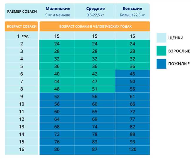 3. Шерсть и окрас: