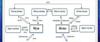 Двоюродная сестра: степень близости и значения этой связи