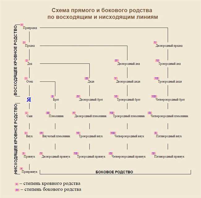 Различия между двоюродными и родными сестрами: