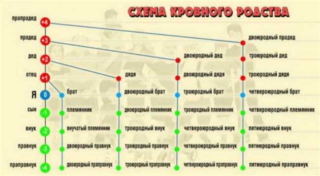 Двоюродный брат и племянник: одно и то же понятие или разные отношения?