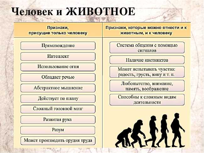 Этническое происхождение