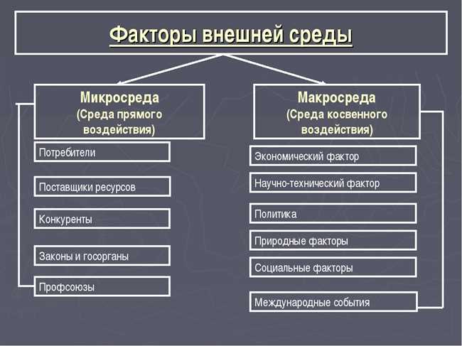 Элитарные и неэлитарные группы: основные различия и характеристики