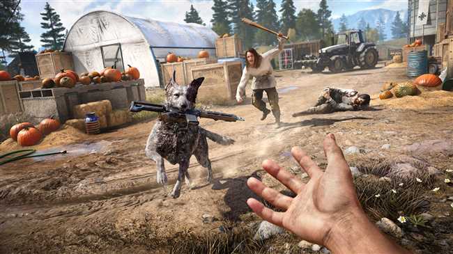 Far Cry 5: время прохождения игры, секреты и советы