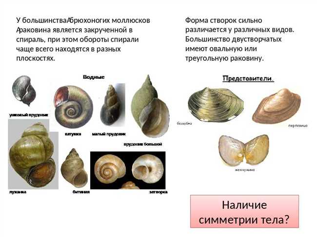 8. Завершающая мысль