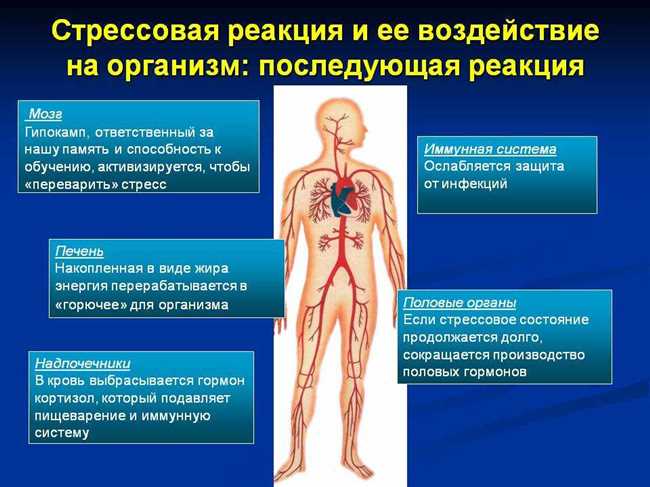 Феномен ТОФИ: как это влияет на наше здоровье и как с ним справиться