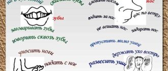 Фразеологизмы со словом "уши, ухо": примеры и значение – увлекательный мир русского языка