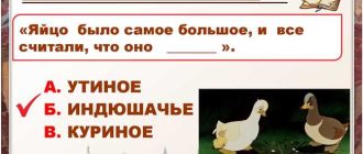 Ответы на более сложные и развернутые вопросы 3 класса по Климановой о произведении Андерсена "Гадкий утенок"