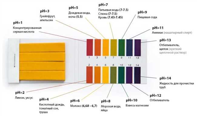 Где купить лакмусовую бумагу: лучшие магазины и интернет-ресурсы