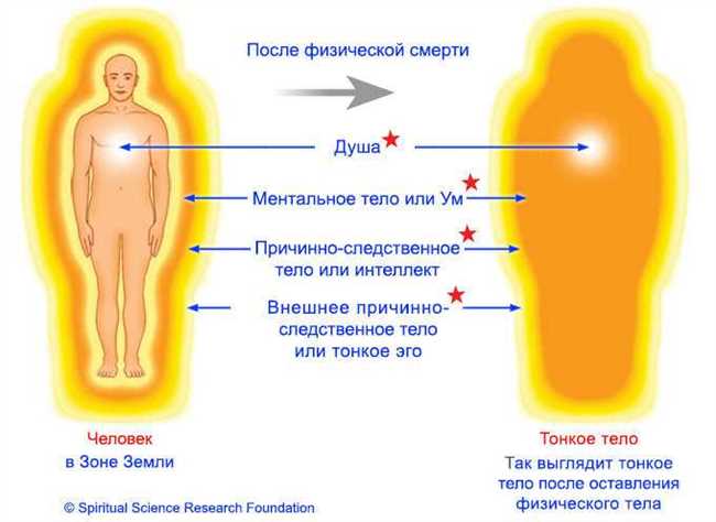 Классификация комы