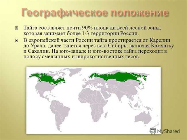 Территория тайги в России