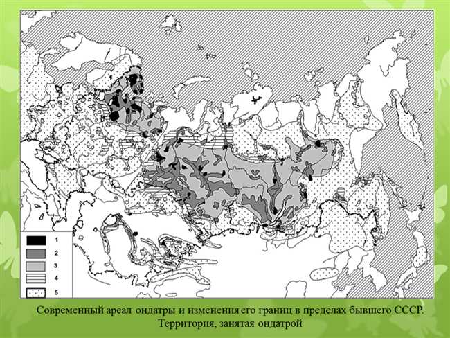 Где обитает Сиреноголовый? Карта туры и скачивание карты