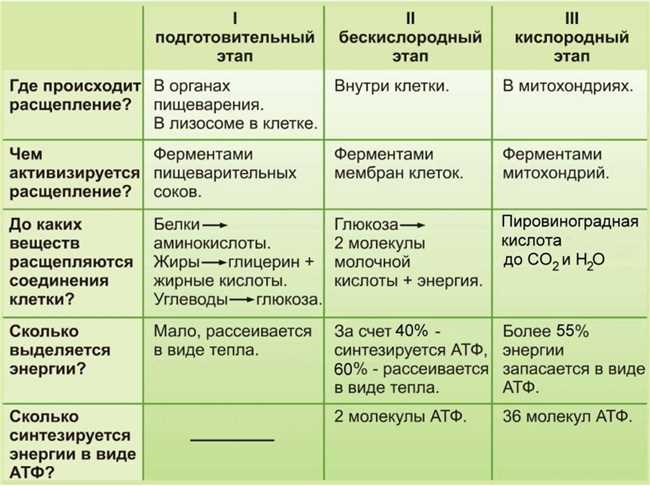 5. Интеграция с другими системами