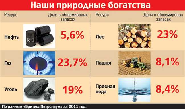 Импорт природных богатств в РФ: какие ресурсы отсутствуют в стране