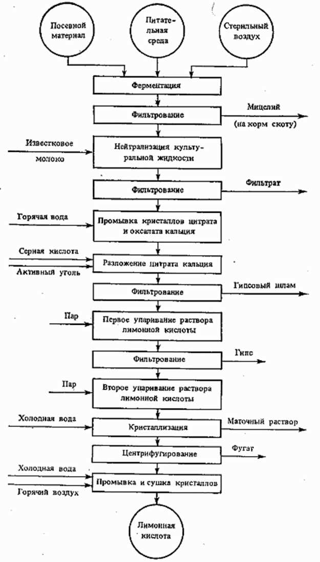 Ингредиенты и процесс производства уксуса: основные составляющие