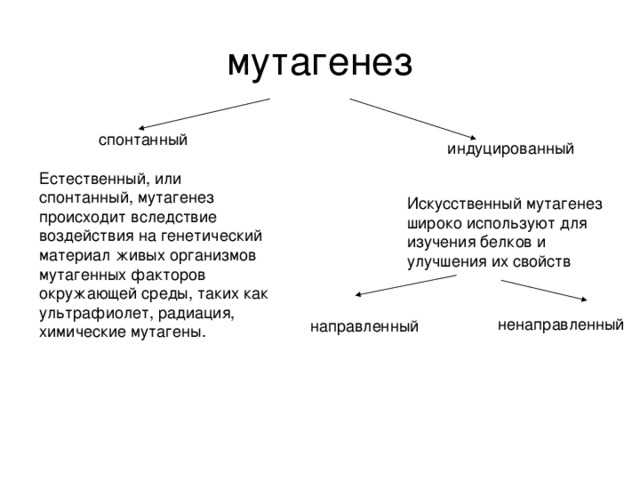 1. Изучение генетических процессов