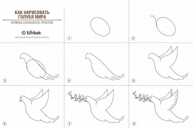 Искусство рисования: как нарисовать голубей мира карандашом