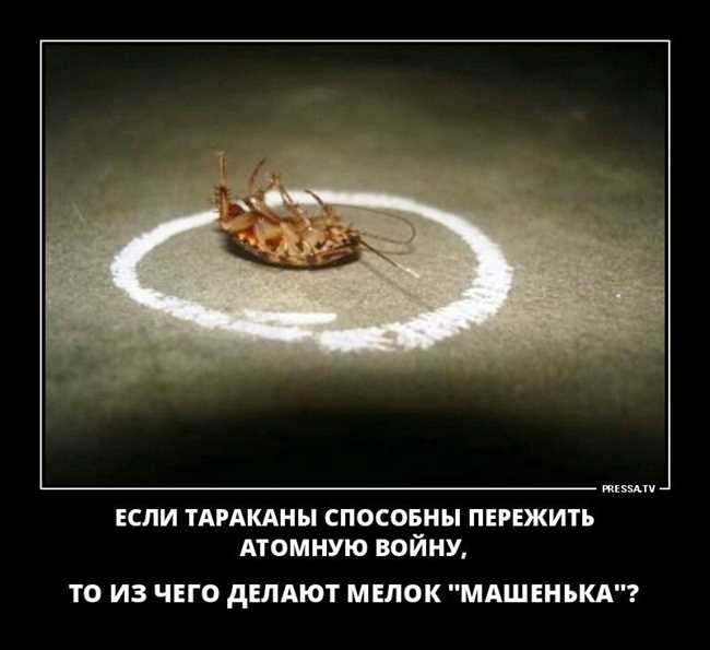 Что говорят мифы