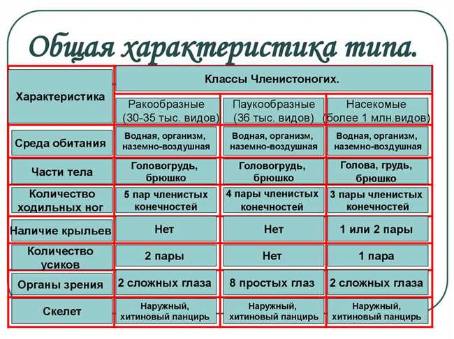 К классу каких видов относится человек и как определить его принадлежность